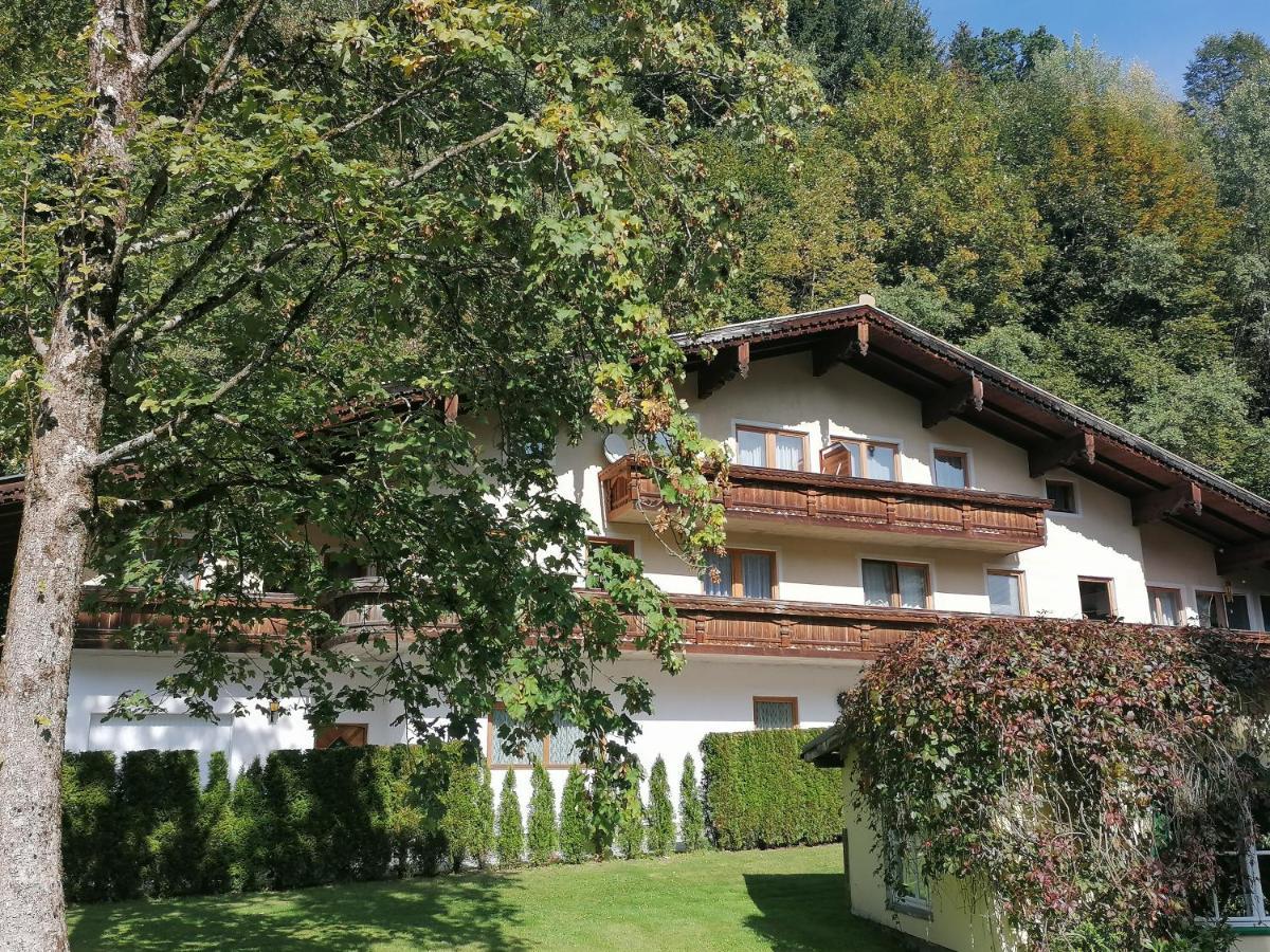 Pension Heilbad Burgwies Stuhlfelden Eksteriør bilde